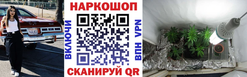 Как найти наркотики Болохово Бошки Шишки  Псилоцибиновые грибы  COCAIN  Гашиш  Меф  A-PVP 