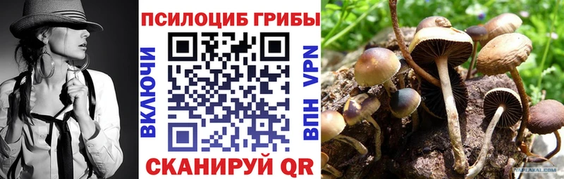 купить наркоту  Болохово  Псилоцибиновые грибы ЛСД 