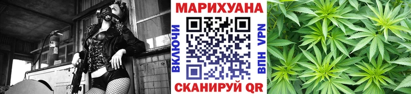 как найти   Болохово  Каннабис VHQ 